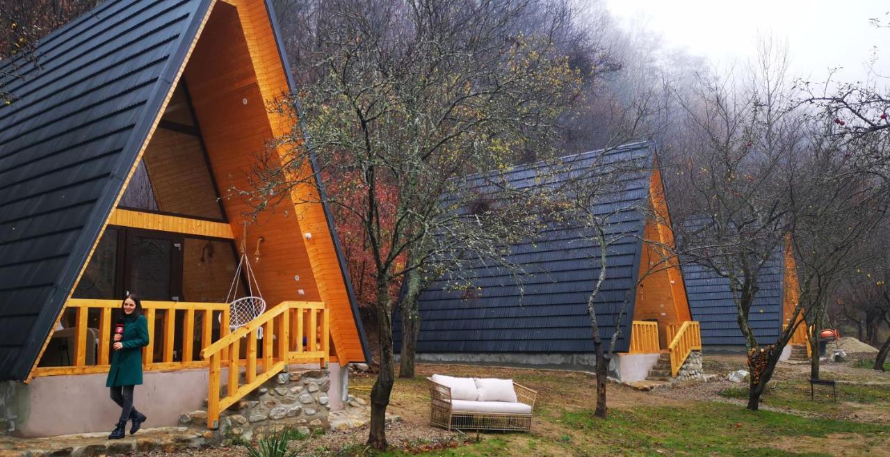 Casa - Cabana Tip A Frame, Cerna, Vaideeni, Valcea Cerna  Екстериор снимка